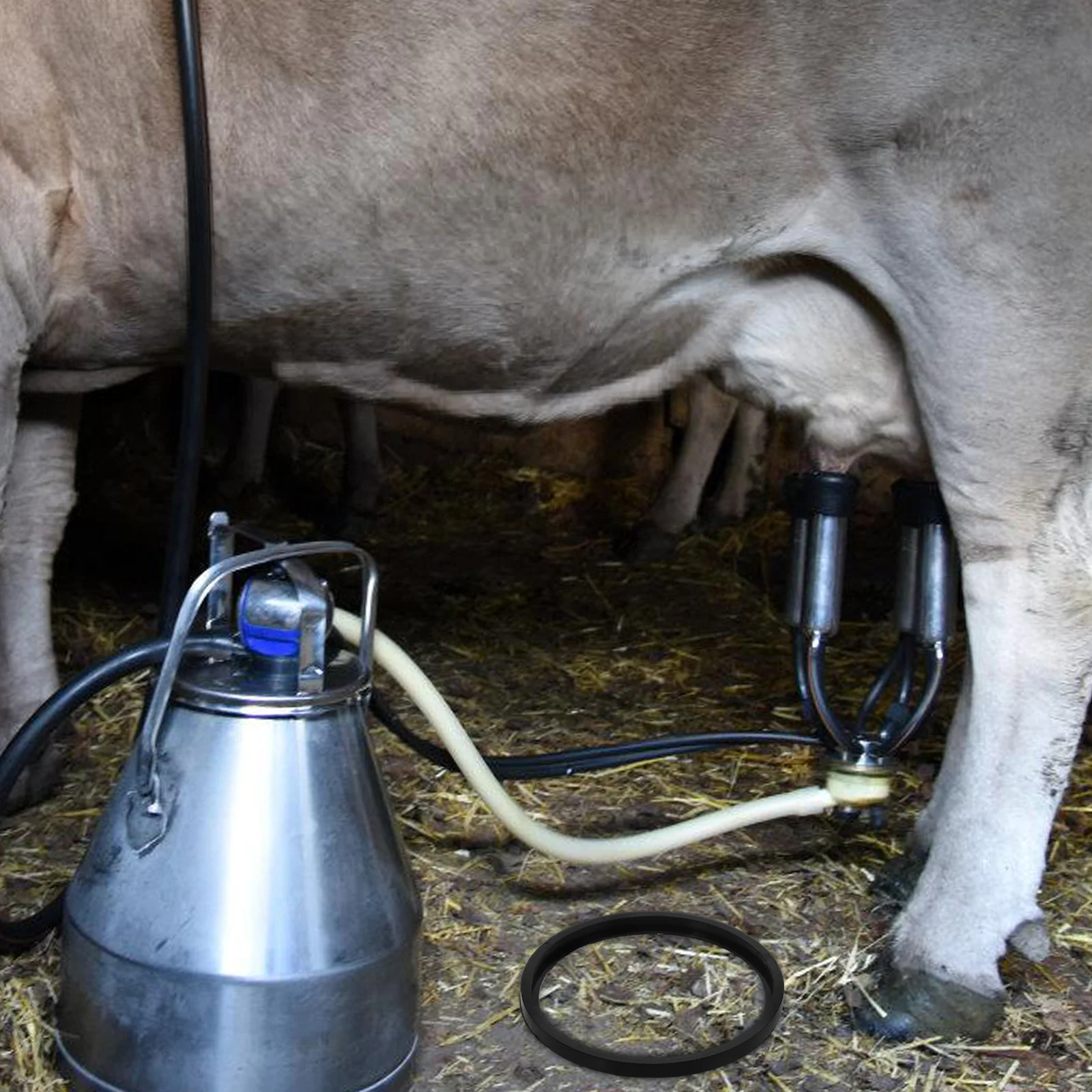 

Milk Bucket Lid Gasket Replaceable Sealing Ring For Stainless Steel Lid Milking Machine Accessory Dairy Equipment