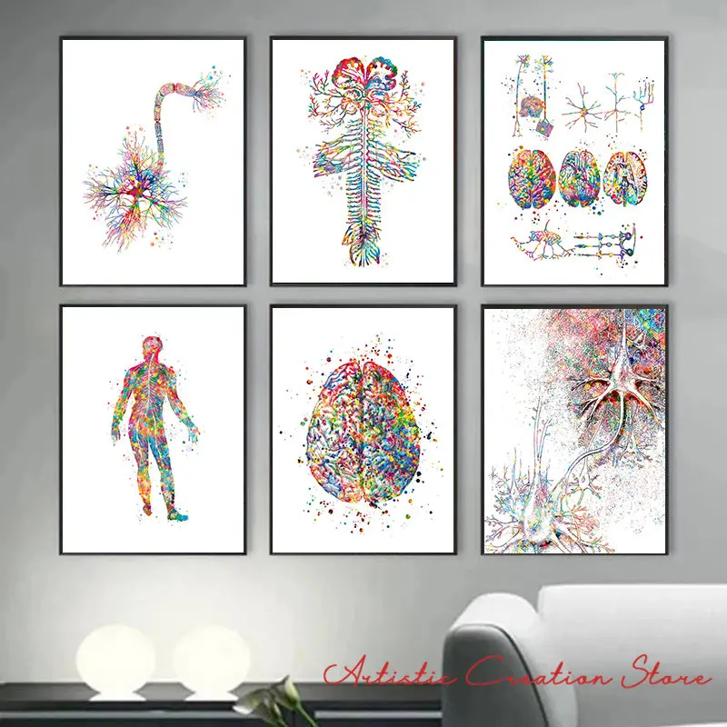 Neuroscience Art Neurology Poster Anatomical Brain Nervous Cell Synapse Neurologist Office Art Canvas Painting Clinic Wall Decor