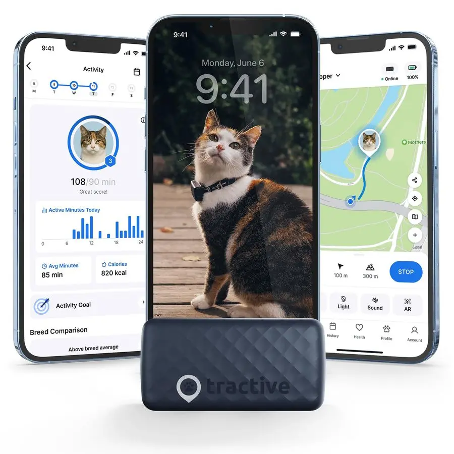 

Smart Cat GPS Tracker RealTime Location amp Wellness Monitoring for Cats 6.5 lbs Territory amp Location History Up to 5Day Batte