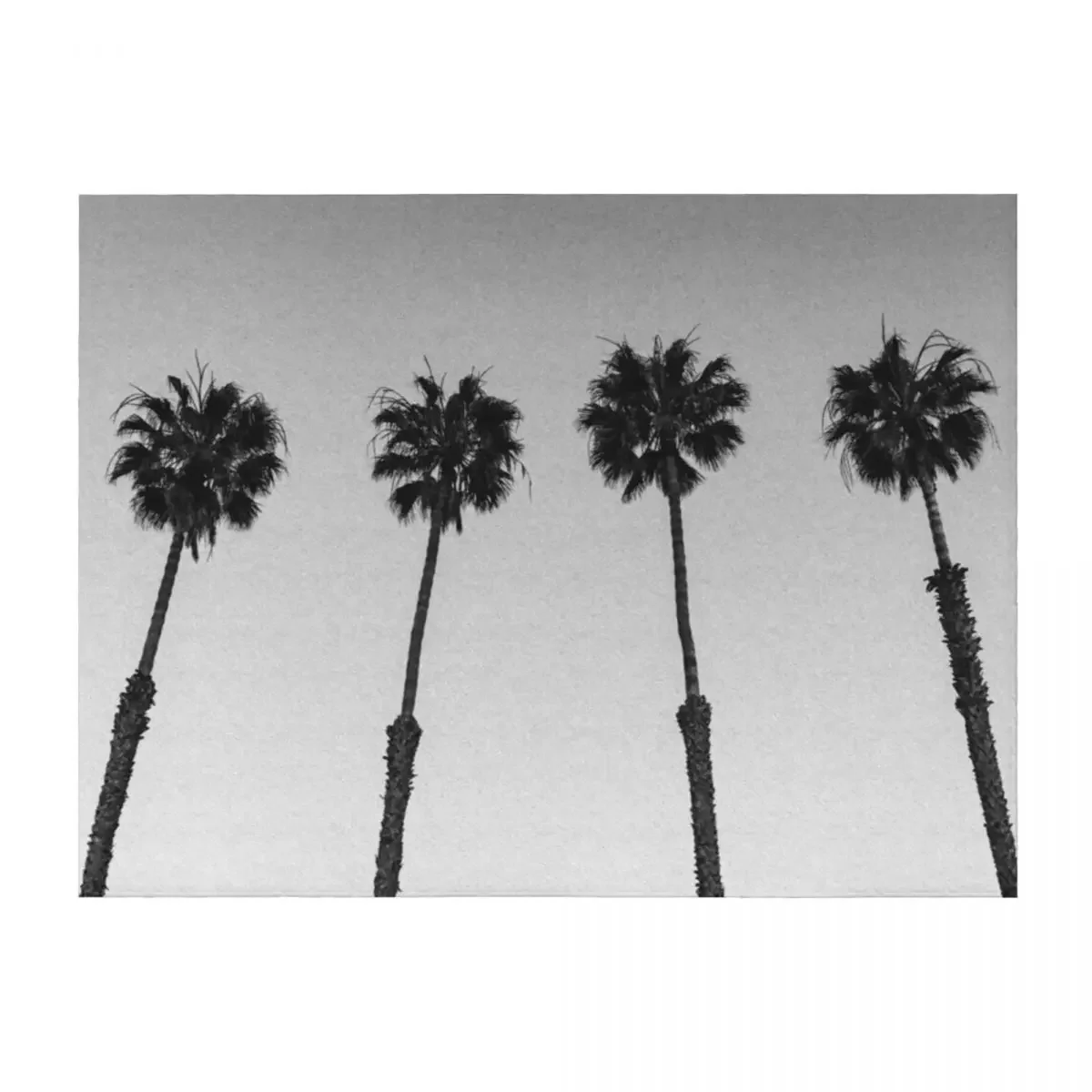 

Black and White California Palm Trees Throw Blanket Sleeping Bag Luxury Designer Picnic blankets and throws Blankets