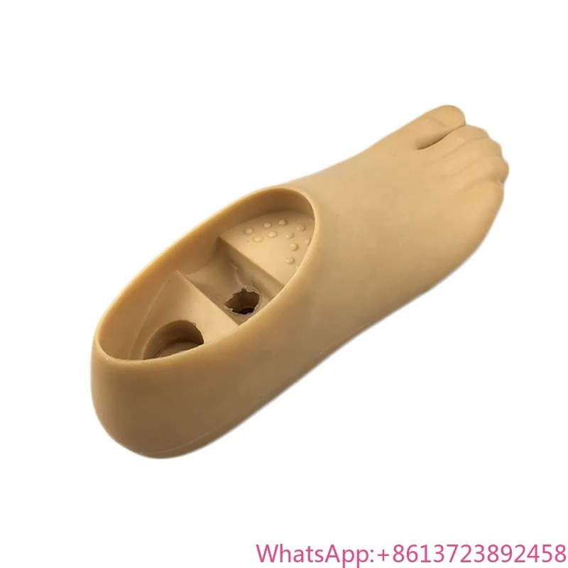 

WDF Artificial Limbs Implant Prosthetic Foot Prosthetic Single Axis Prosthetic Foot