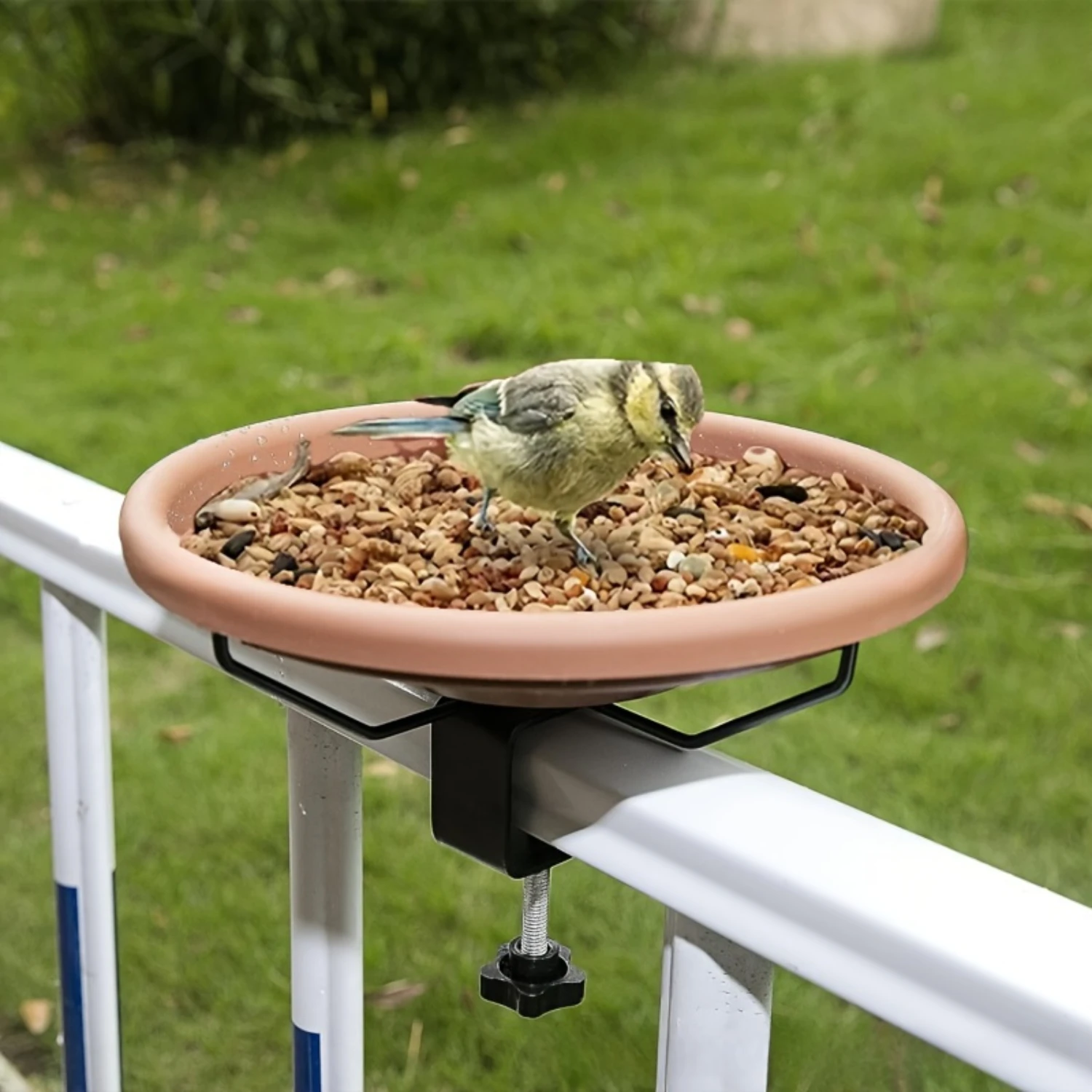 Filles de bain et mangeoire avec pince réglable, balustrade de balcon et de jardin, bassin d'oiseaux à usage touristique pour se baigner et se nourrir, fer