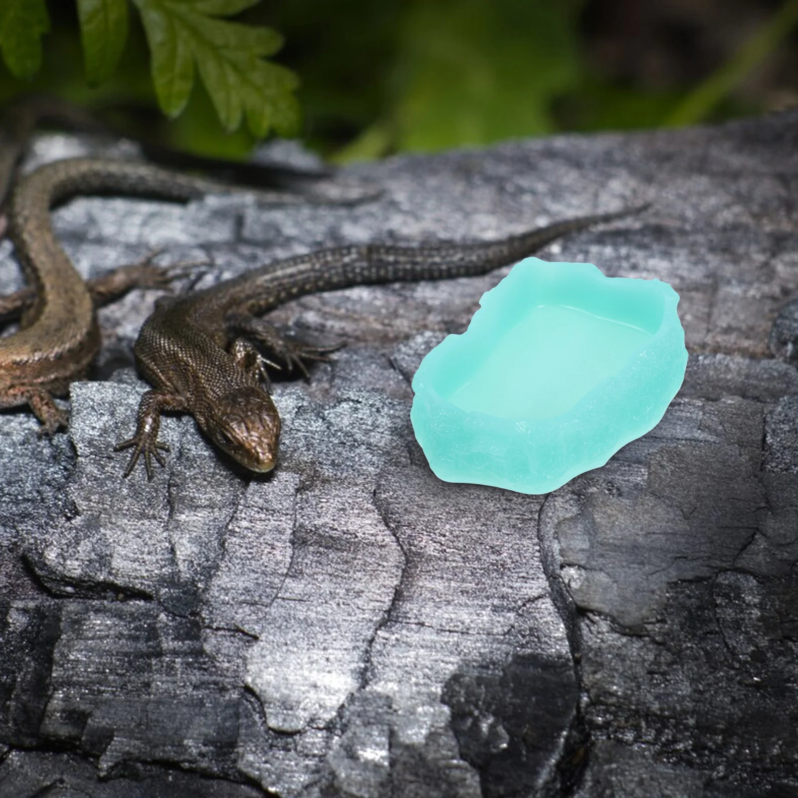 

Luminous Resin Bowl Food Water Basin Durable Wear Resistant Accessories Tank Decor Reptile Small Snake Gecko Turtle