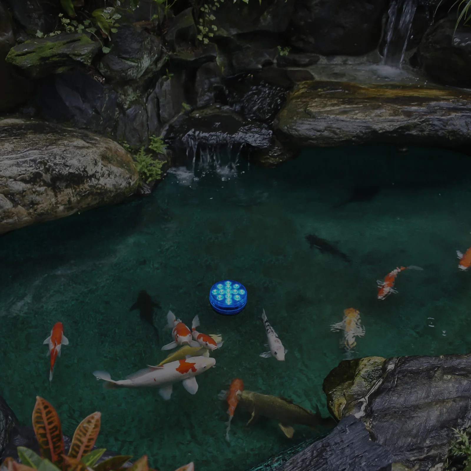 

Remote Control Diving Light Lamp Swimming Pool Underwater Aquarium Decor L Waterproof Fish Tank Parts Accessories LED Chic