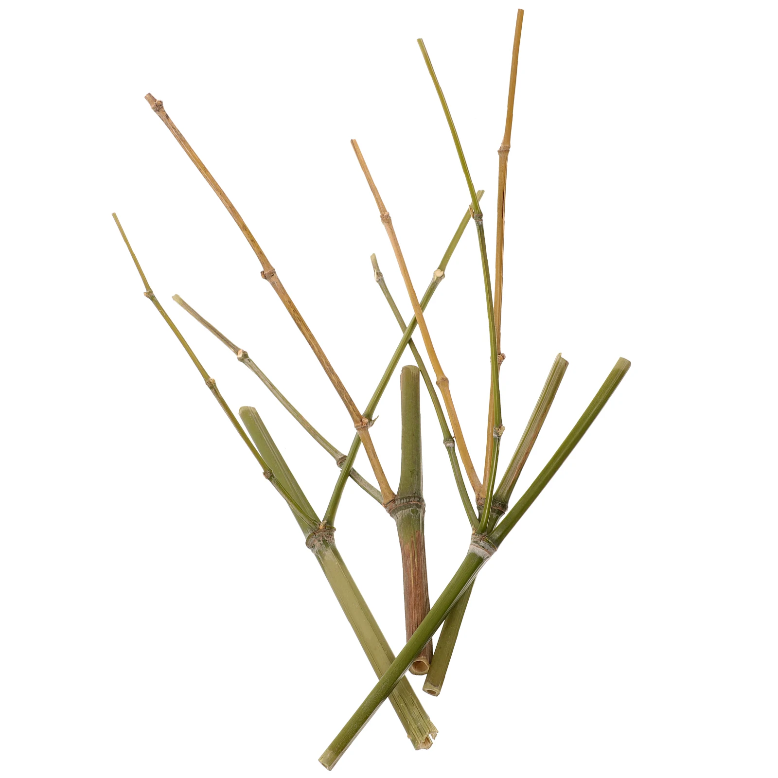 

4pcs Flower Arrangement Holder Bamboo Tool Deformable Floral Fixing Supplies Arranging Vase Accessories DIY Materials Creative