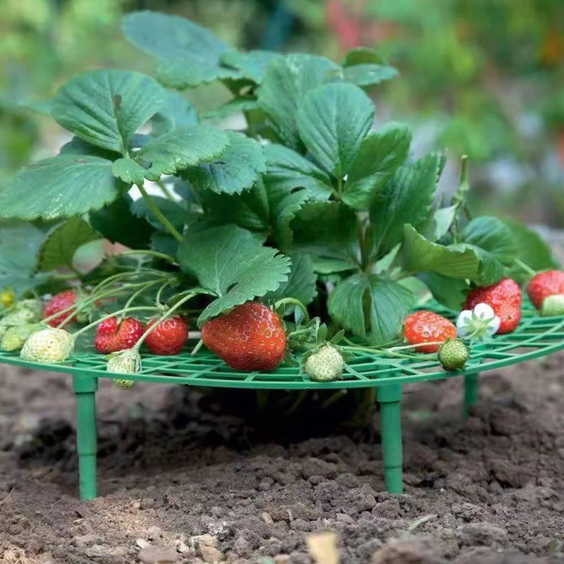 Strawberry Plant Stand with 4 Rugged Legs; Keep Berries Spotless, 1/5pcs Set Garden Tool