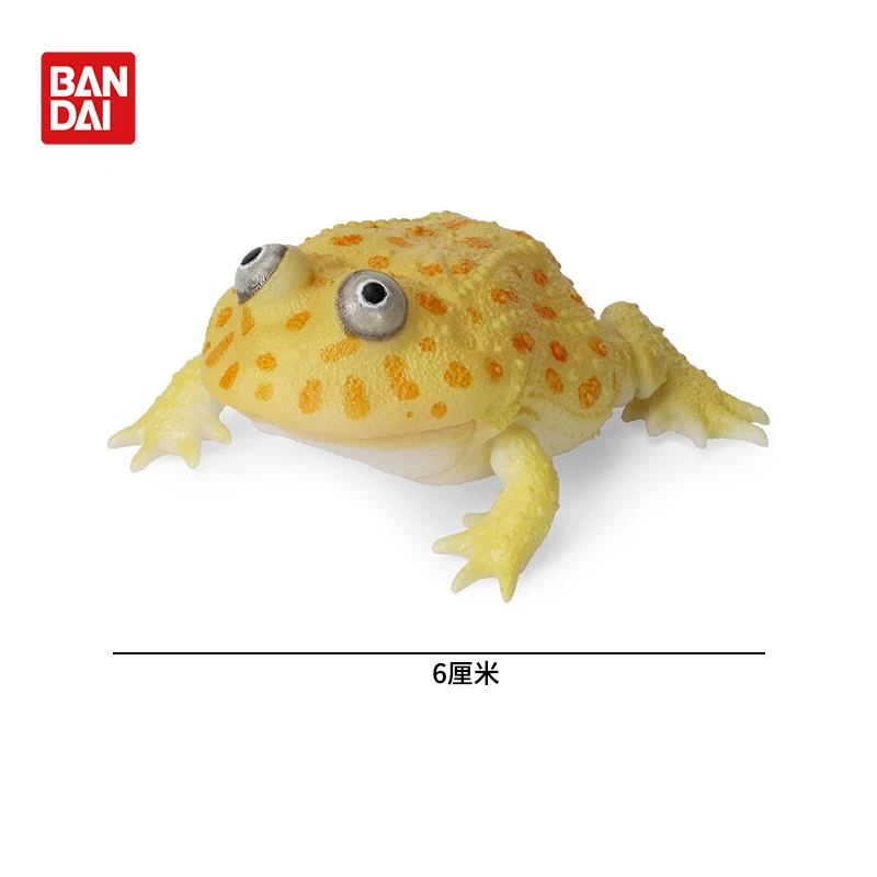 لعبة بانداي الأصلية Ikemono Taisyou ADVANCE Lepidobatrachus Llanensis Gacha Gashapon مجموعة شخصيات الرسوم المتحركة