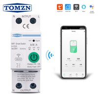 TOMZN 2P 63A WIFI Smart Switch smartlife Energy Meter Kwh Metering Monitoring Circuit Breaker Timer Relay MCB TUYA