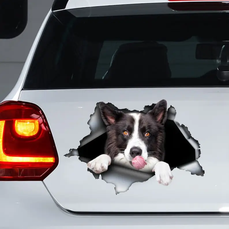 Border Collie decal, Border Collie sticker, Border Collie magnet,car sticker