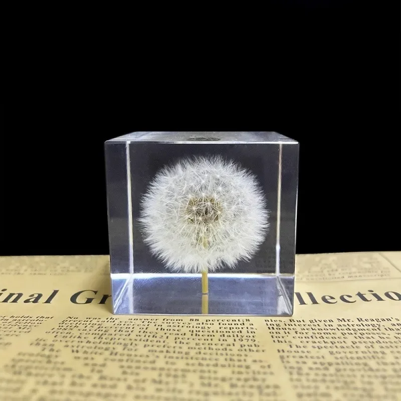 Clear Resin Dandelion Specimen Cube Real Resin Epoxy Dandelions Taxidermy Plant Amber Sample Desk House Decoration Home Ornament