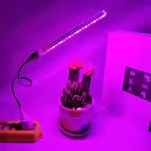 LED Full Spectrum Plant Grow Light, USB Adjustable Plant Growth Lamp for Succulents, Seedlings, Hydroponics Indoor Garden