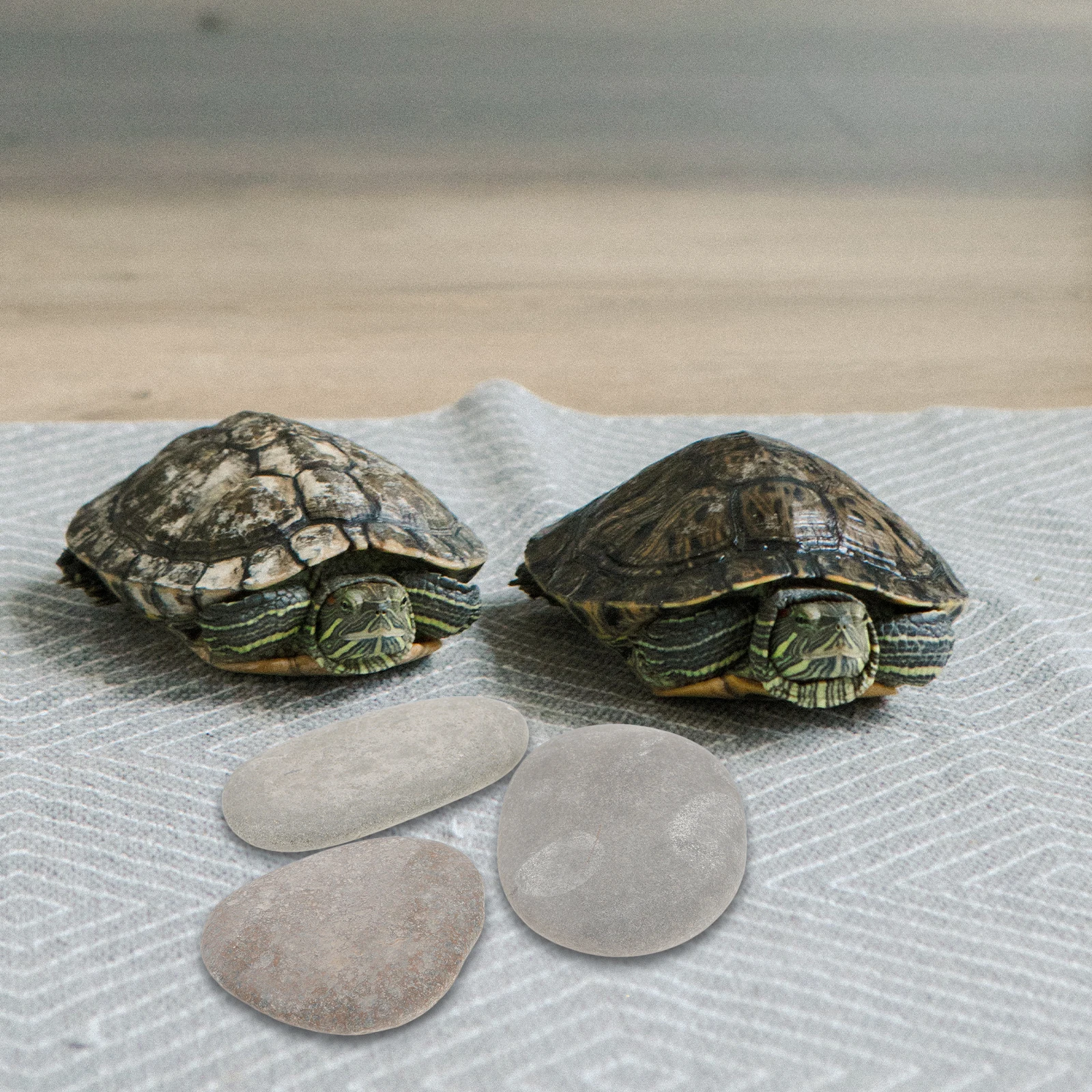 

3Pcs Turtle Tank Platform Stand Natural Flat Stones 7-12cm Basking Rock Aquarium Fish Tank Landscaping Decor Reptile
