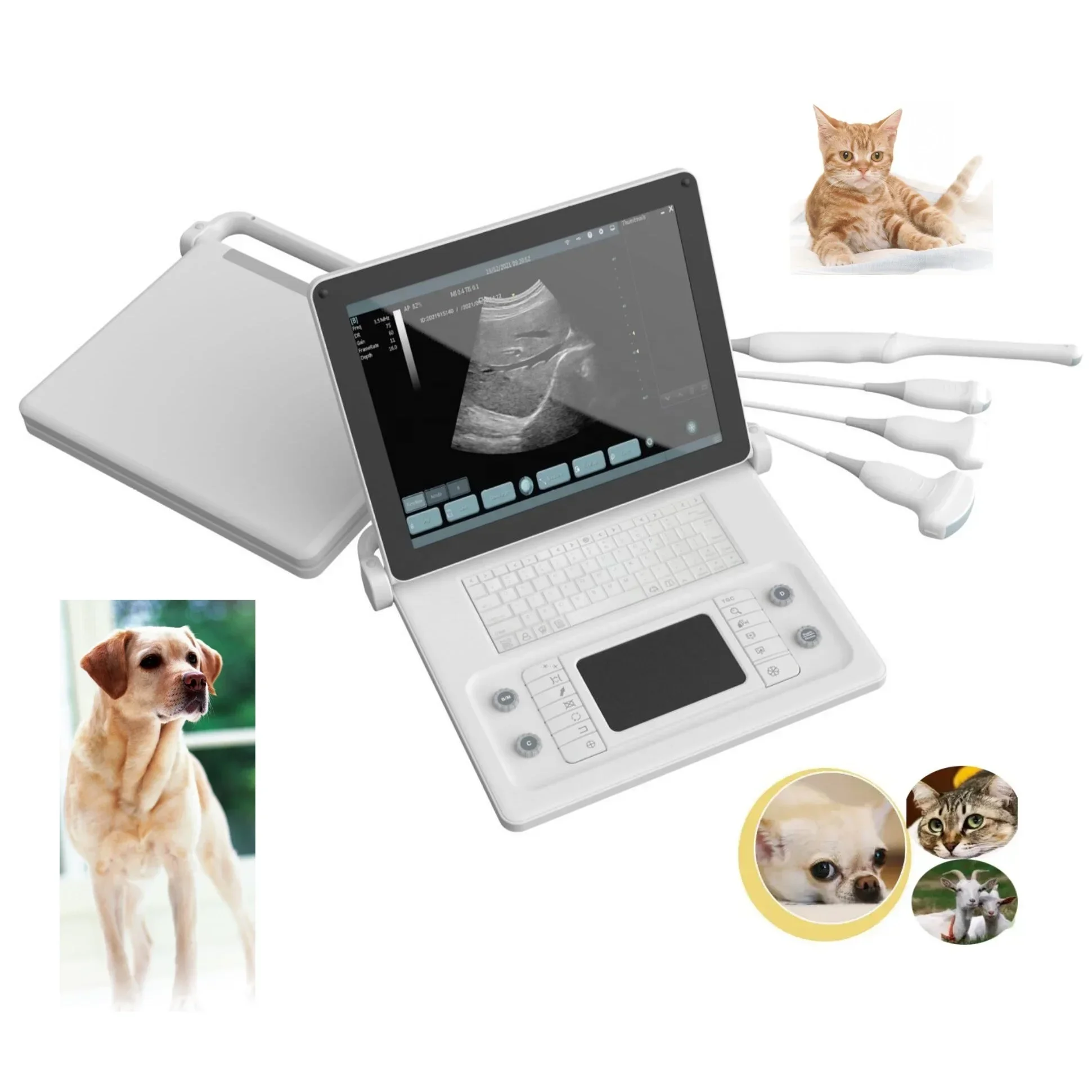 B51Vet 2-11mhz Ultrasound System For Pet Portable Veterinary Ultrasound Scanner Cats,dog,cattle,horse,etc