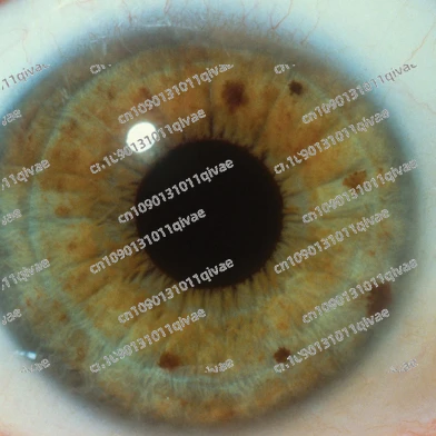 DE-400 Iris Scanner… - image