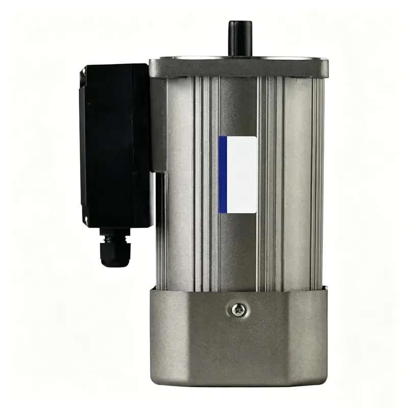 AC Gear Motor 250W 220V Speed Control Three-Phase Permanent Magnet Synchronous AC Motor 300W Equivalent