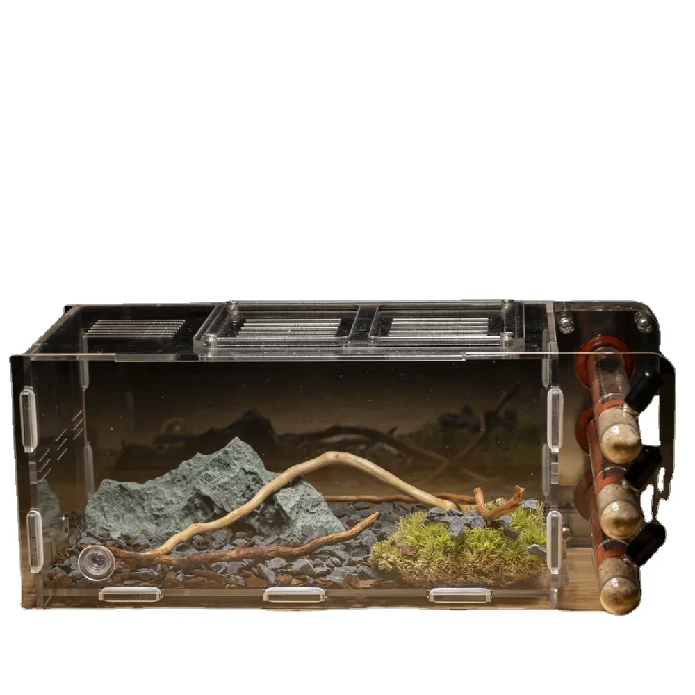a forEco-Friendly Ant Nest Workshop for Pet Ant Activity Zone Test Tube Teaching Tool