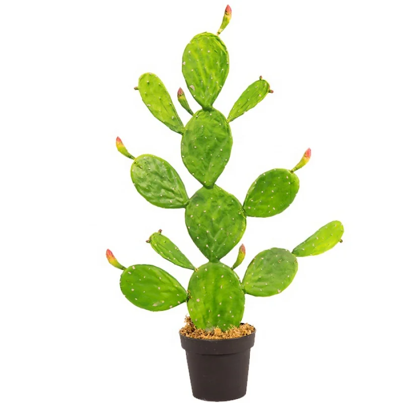 

custom.songtao cheap succulents artificial cactus Home Decor Large Cactus Indoor Plastic Plant