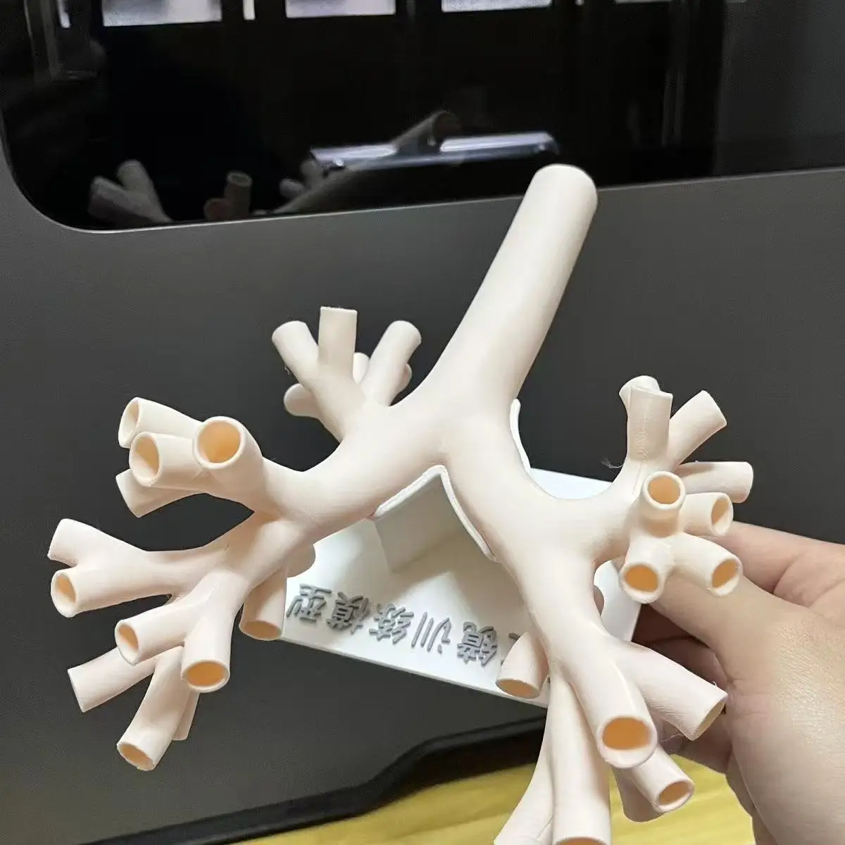 Bronchoscopic Training Model - Level 4 Lung Fibrobronchoscopy Model - Fibrous Practice at Level 4
