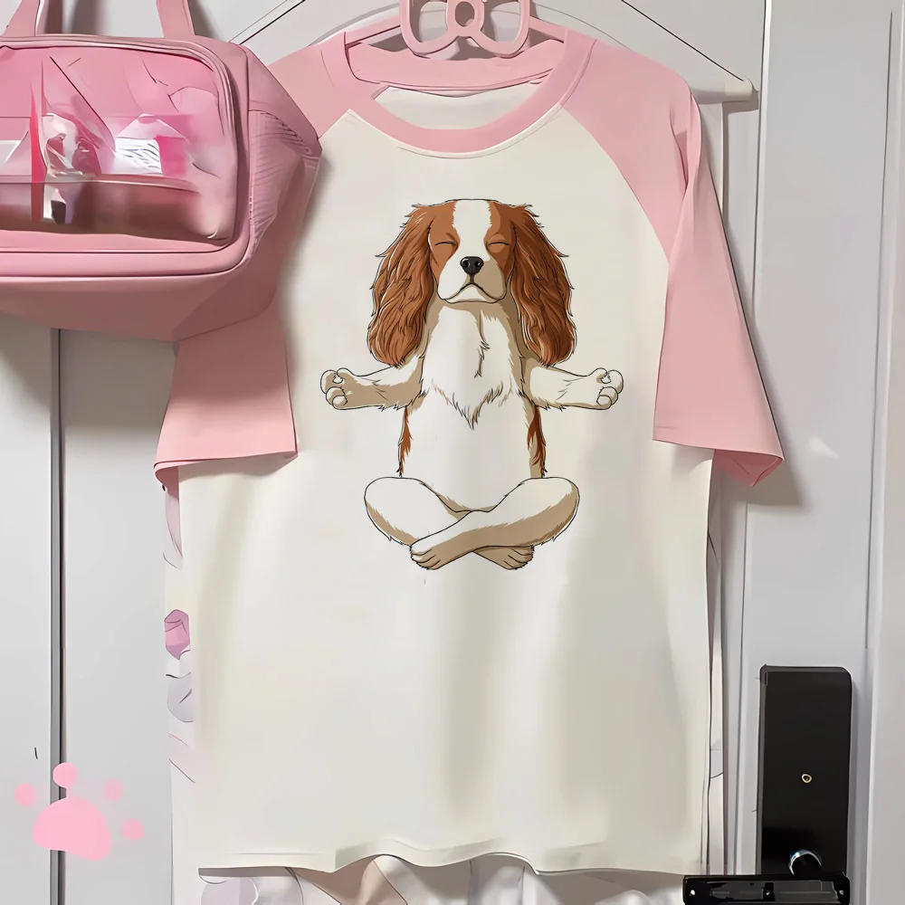 Cavalier King Charles Spaniel Dog t-shirts women designer printed design anime t-shirts female streetwear harajuku clothes