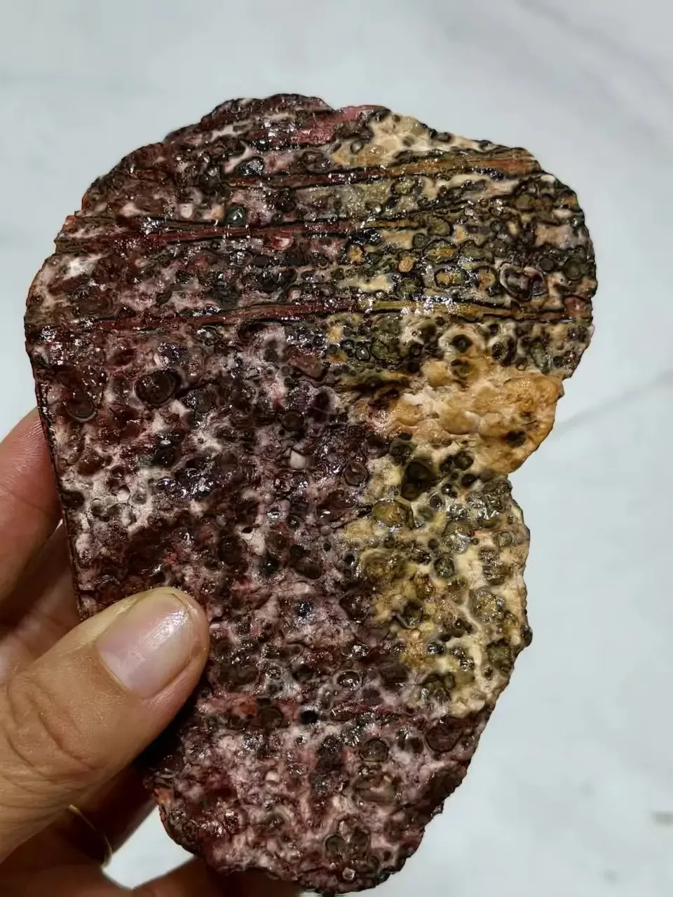 Natural Leopard-Print Stone Raw Stone, Quartz Crystal Rough Ore, Mineral, Spiritual Energy, Healing