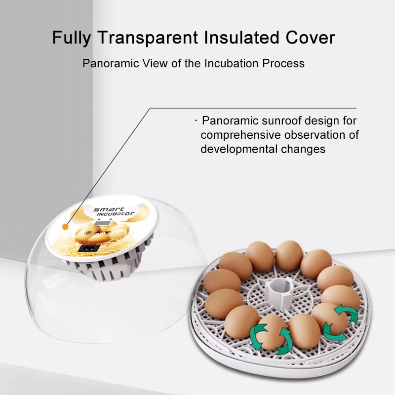 12 Egg Automatic Smart Incubator Digital Control Turner Poultry Hatcher for Chicken Duck Home Use Even Heating Transparent Cover
