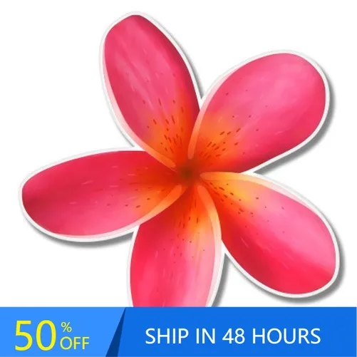 

Plumeria Hawaiian Flower Tropical Funny Motor Home Boat Walls Laptop Waterproof Vinyl Decal Decoration Vintage Cool Cute