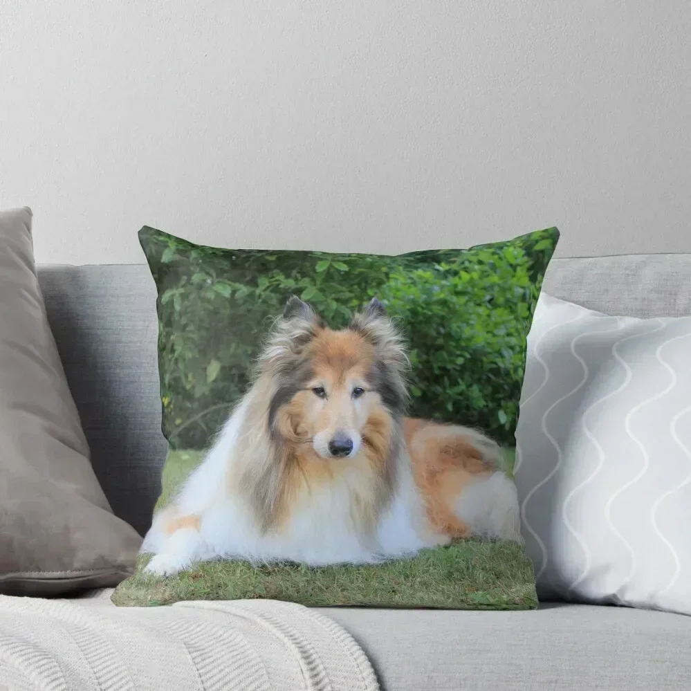 

Sable Rough Collie Throw Pillow Cushion Child Cushion Cover Set Decorative Cushions pillow
