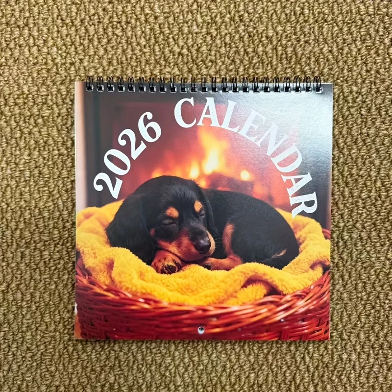 

2026Year Small Dachshund Dog Wall Calendar - Double-sided12Monthly Planner，Cute Dachshund Design