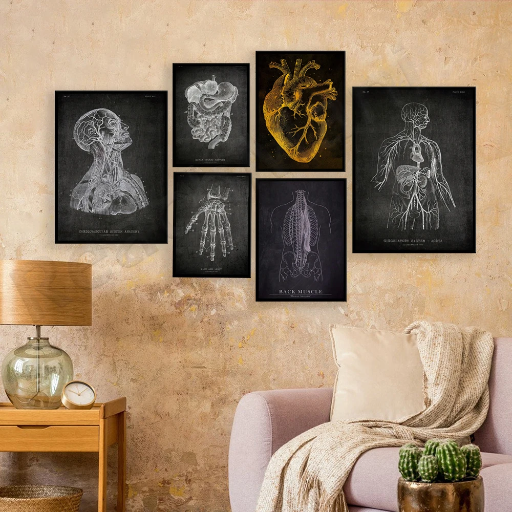 Cardiovascular system, digestive system, brain, heart, hands, back muscles, skull, human aorta anatomy poster, structure art