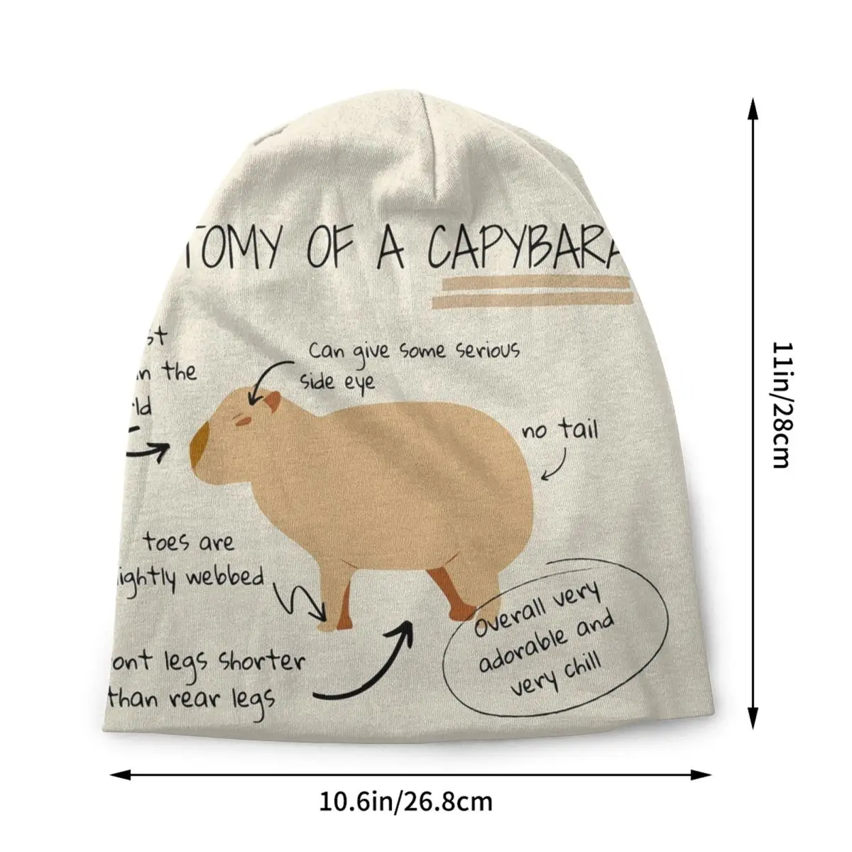 Anatomy Of A Capybara Skullies Beanies Caps Hip Hop Winter Warm Men Women Knit Hat Adult Unisex Bonnet Hats