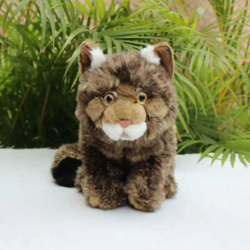 Brinquedo de pelúcia realista gato Shaw, gatinho selvagem, felis silvestris, mascote emulacional, boneca animal macio, presente de aniversário para menino e menina