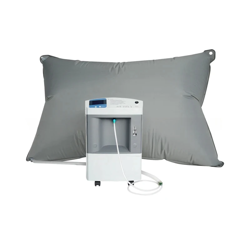 Longfian EWOT Oxy Gen Training System With Reservoir Bag Hypoxic Exercise Therapy