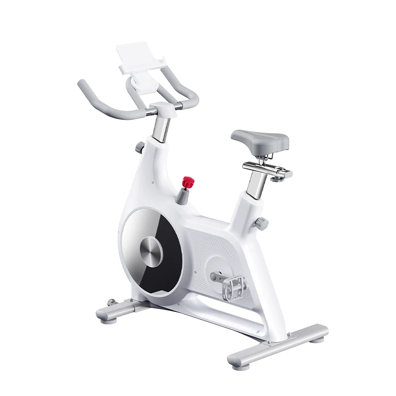 

Factory Wholesale Indoor Fitness Resistance Sports Exercise Bicycle