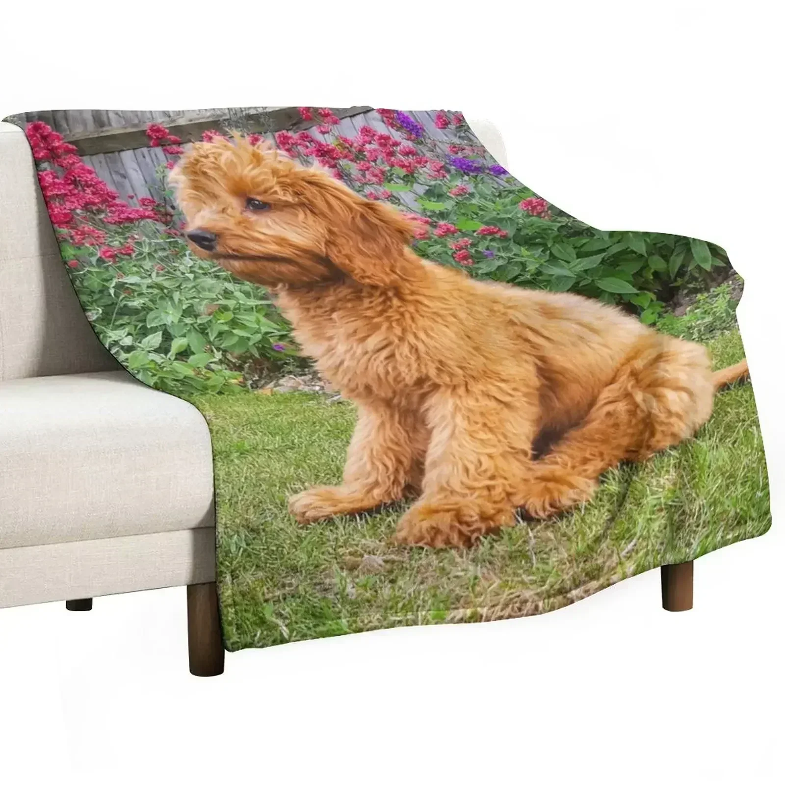 Red Cockapoo Puppy Throw Blanket funny gift Decorative Sofa for sofa Quilt Single wednesday Blankets
