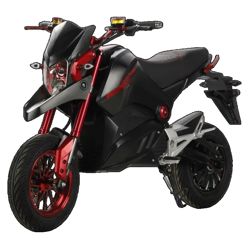 Zuimi High-end Curiser Motorcycles Limited Stock 2000W 3000W 5000W Suburban Sport Riding Usage & Maintenance Training