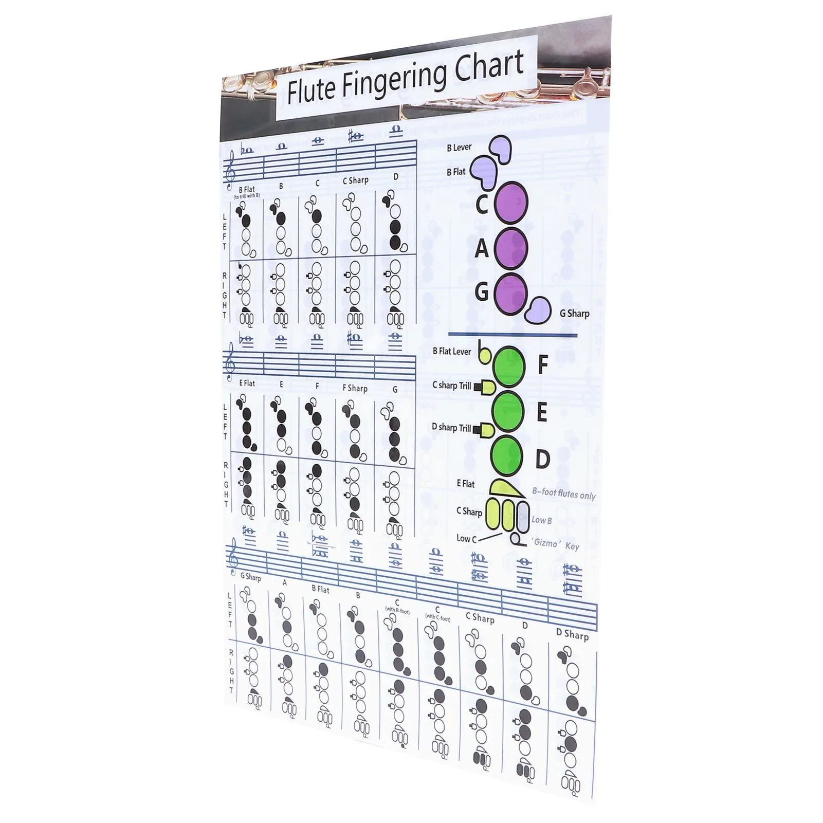 Flute Fingering Chord Chart Beginner Student Practice Teaching Aids Instrument Accessories
