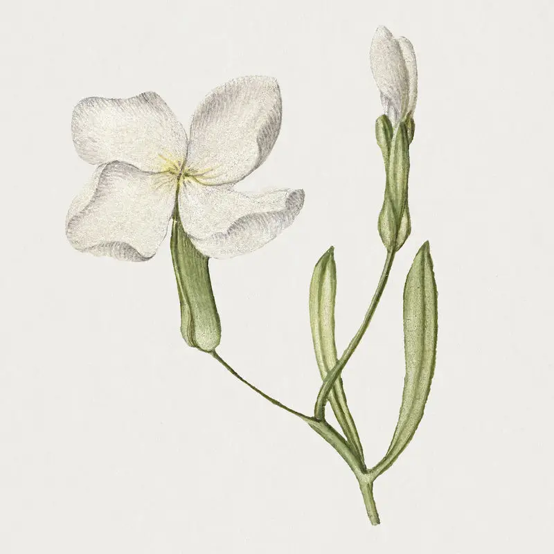 

FOR ARRMA 1/8 OUTCAST KRATON V6 Red Eye Card Collection W257 Aluminum Alloy Front Wheel