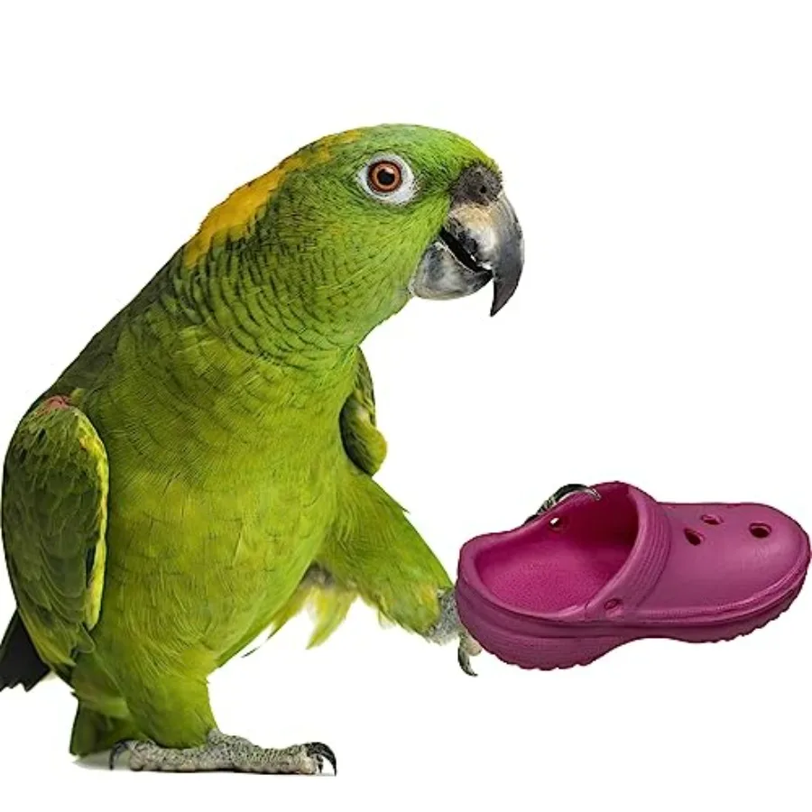 SB1192 Crocs Juguete para pájaros Ideal para loros Ringnecks Quakers Pequeños cacatúas Perfecto para masticar Forraje y alivio del aburrimiento Color
