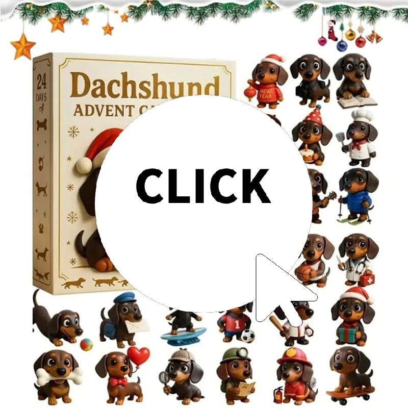 2025 تقويم القدوم الألماني ، 24 يومًا عيد الميلاد العد التنازلي التقويم الاكريليك لطيف الدشهند عطلة شجرة ديكور لمحبي الكلاب #1