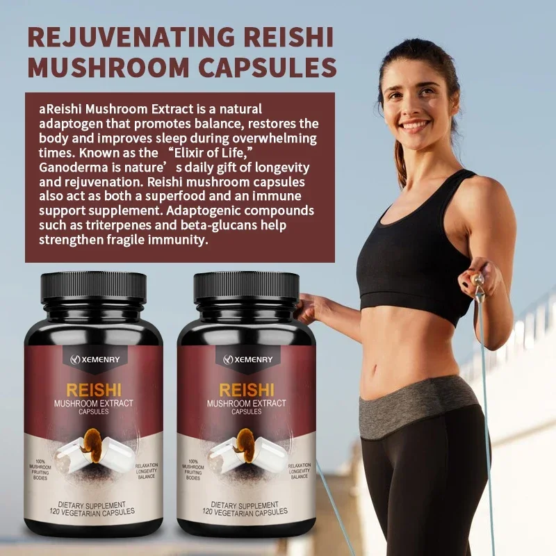 Reishi - Relieve Stress, Improve Sleep, and Enhance Immunity