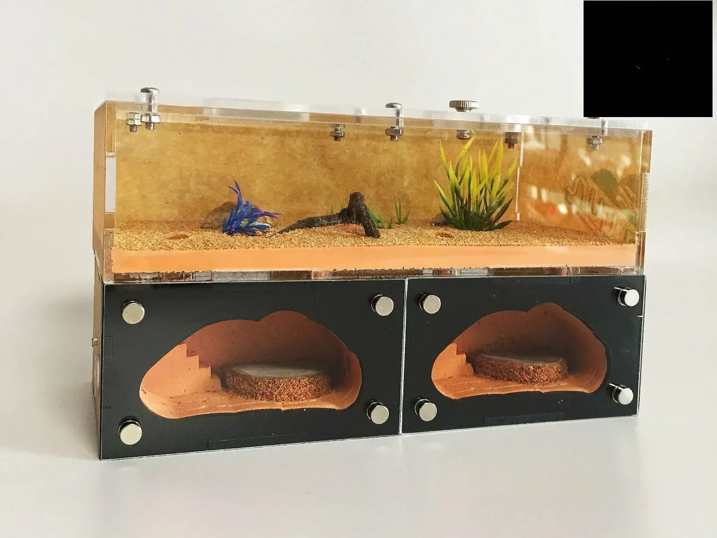 A 1PCS insect box A Birthday Gift for Ant nest acrylic Ant Castle Little Belly Ant House ants farm houseB
