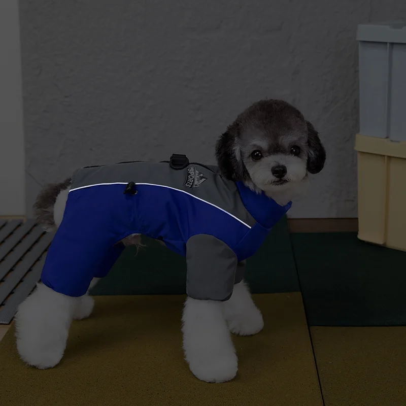 Thumbnail 3 - #29 Trending Waterproof Puppy Jackets Right Now