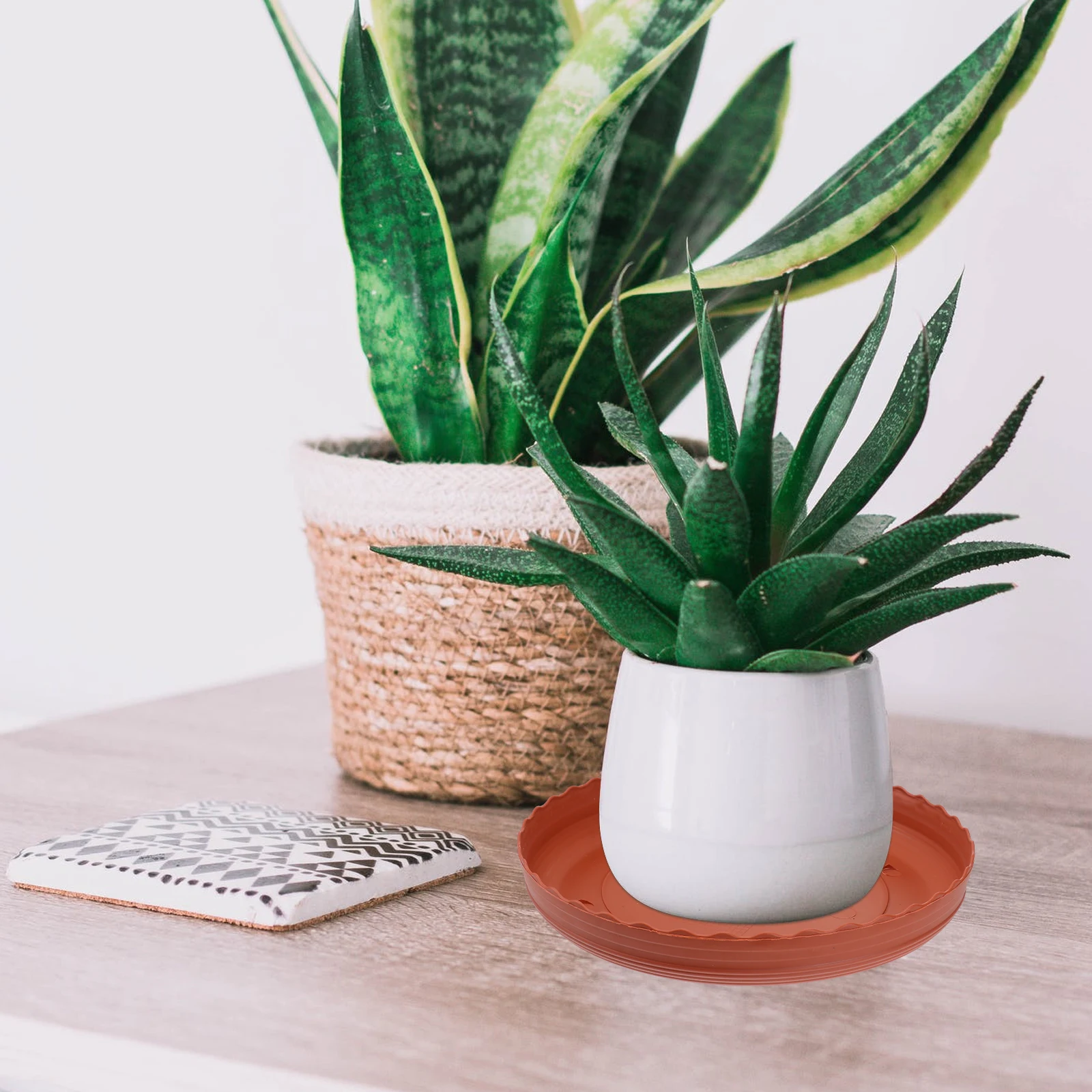 

5Pcs Round Plant Pot Tray Resin Flowerpot Cork Base Drip Tray for Succulent Small Plant Pots Balcony Garden Protector