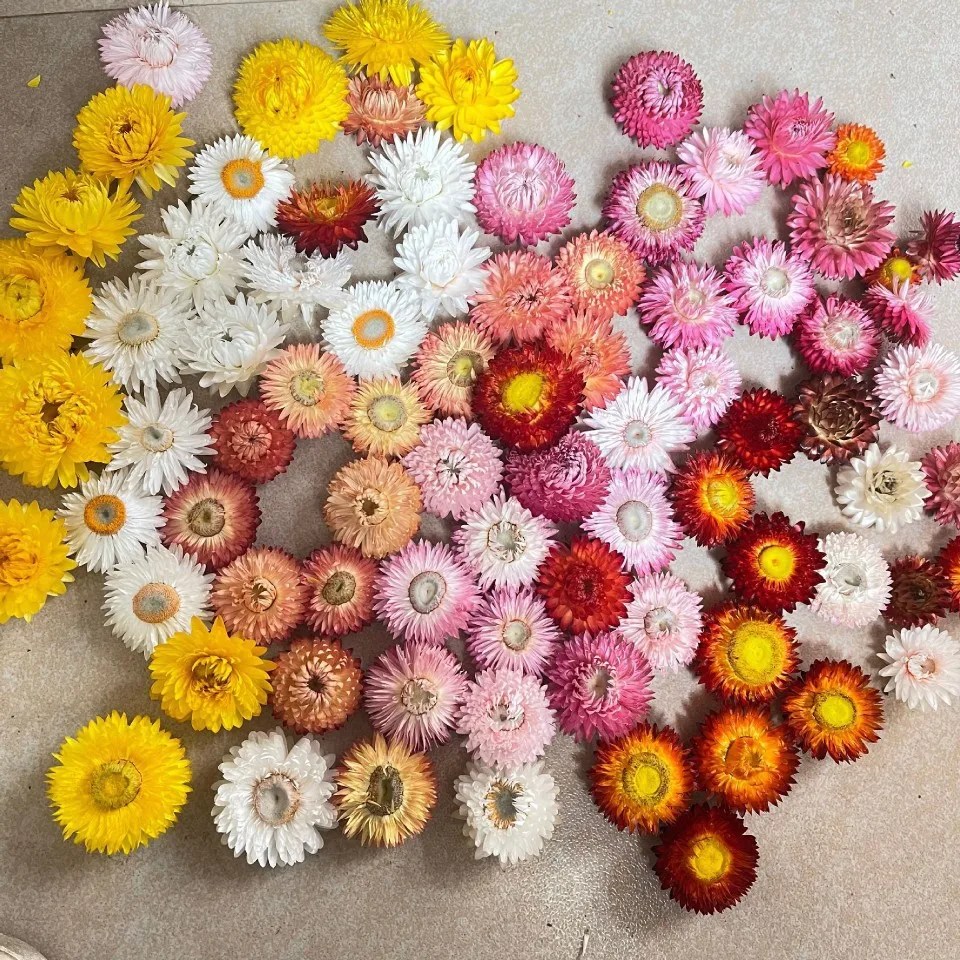 20Pcs Daisy Dried Natural Sunflower Dry Straw Chrysanthemum Heads Home Table Decor DIY Crafts Candle Wedding Party Decoration