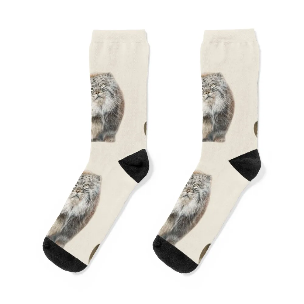 

Pallas Cat Round and Cute Socks Toe sports golf loose gift Male Socks Women's