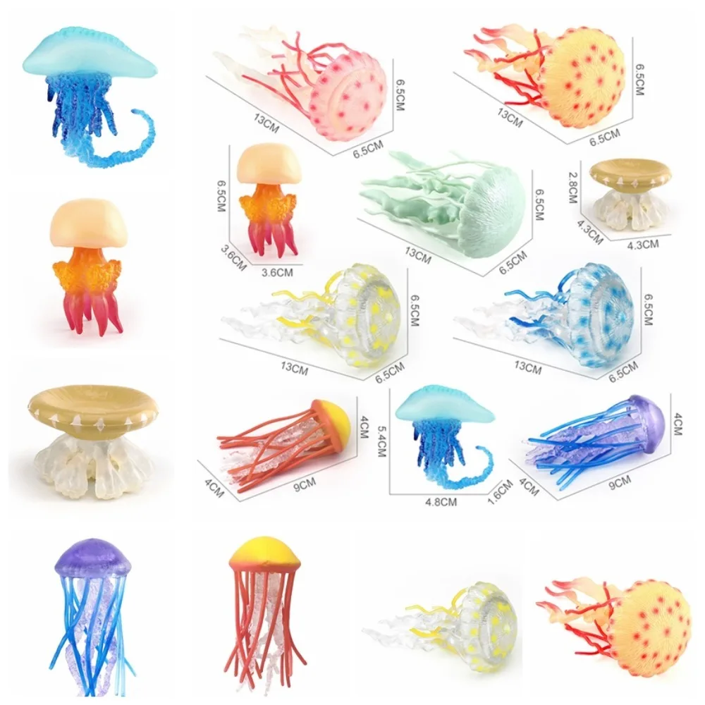 

Marine Animals Ocean Animal Figurine Solid multi-colored Sea Life Model Plastic Lifelike Jellyfish Starfish Anemones Collection