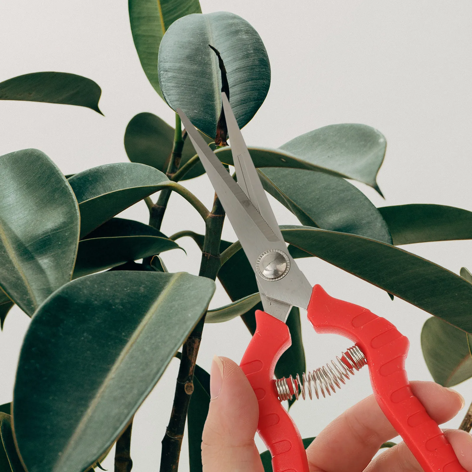 

Набор из 3 садовых ножниц из нержавеющей стали с эргономичными прорезиненными ручками и пружинным механизмом для обрезки кустарников, веток и садов