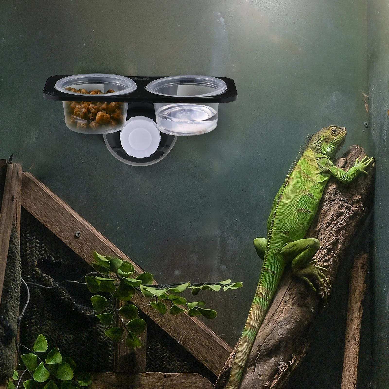 

Reptile Feeding Bowl Double Cup Suction Cup Design Space Saving Feeder for Lizard Turtle Gecko Scorpion
