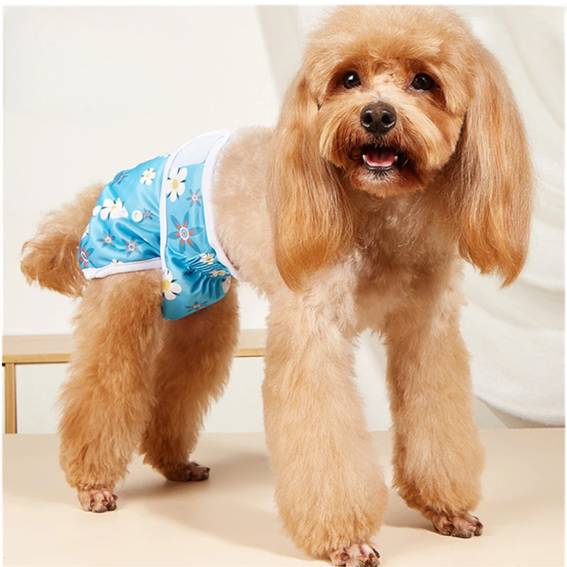 Couches lavables pour chiennes (lot de 3), taille ajustable, culottes physiologiques pour chiennes pendant leurs règles, réutilisables, couleur aléatoire_voghion.com