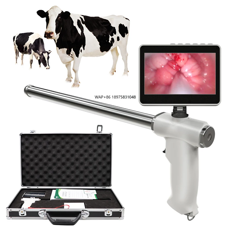 

Инструмент для искусственного осеменения коров: эндоскоп для осмотра и инспекции спермы в ветеринарной практике